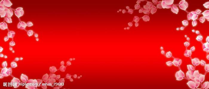 德累斯顿音乐学院 Diplom